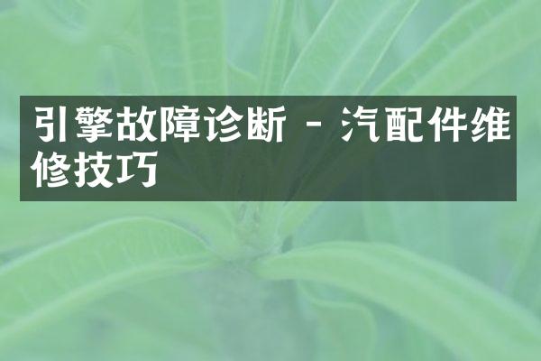 引擎故障诊断 - 汽配件维修技巧