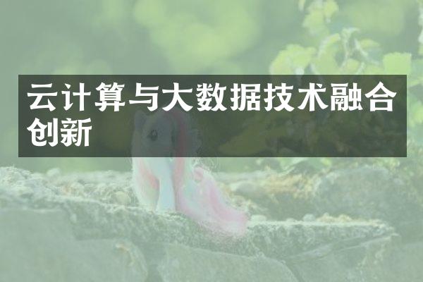 云计算与大数据技术融合创新