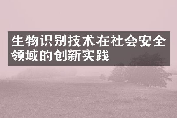 生物识别技术在社会安全领域的创新实践