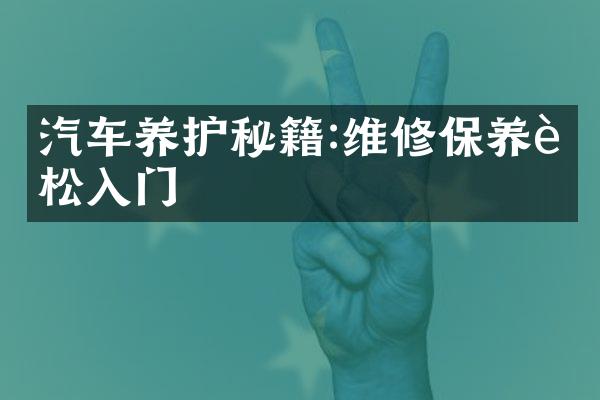 汽车养护秘籍:维修保养轻松入门