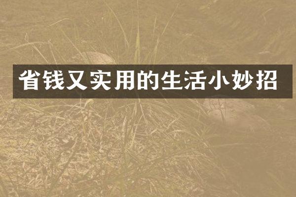 省钱又实用的生活小妙招