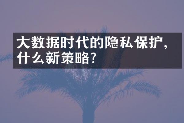 大数据时代的隐私保护,有什么新策略?