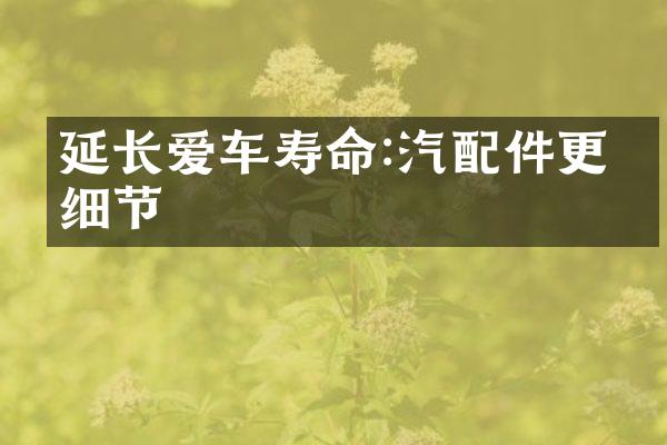 延长爱车寿命:汽配件更换细节