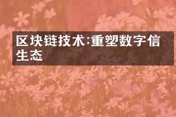 区块链技术:重塑数字信任生态