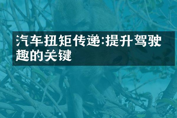 汽车扭矩传递:提升驾驶乐趣的关键
