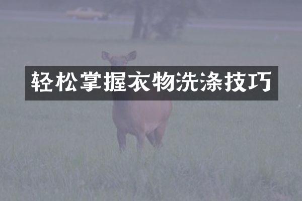 轻松掌握衣物洗涤技巧