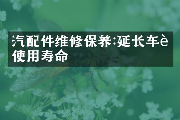 汽配件维修保养:延长车辆使用寿命