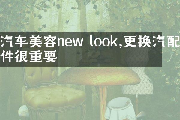 汽车美容new look,更换汽配件很重要