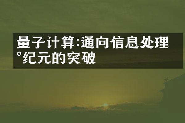 量子计算:通向信息处理新纪元的突破