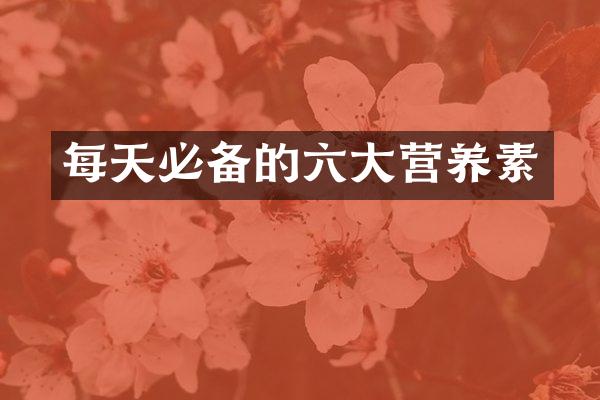 每天必备的六大营养素