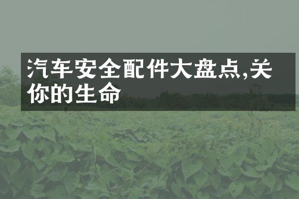 汽车安全配件大盘点,关乎你的生命