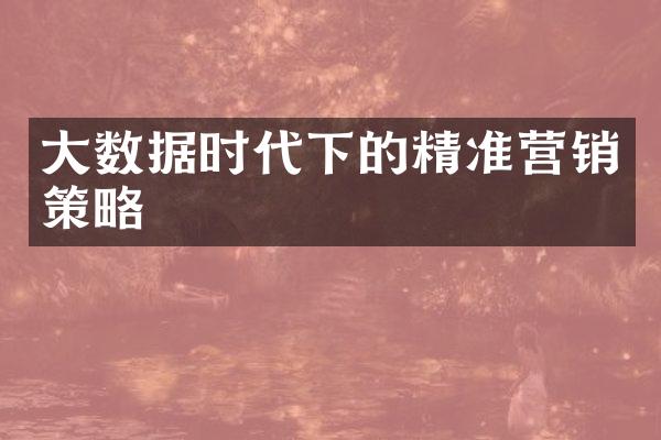 大数据时代下的精准营销策略