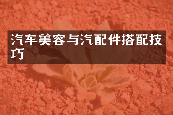 汽车美容与汽配件搭配技巧