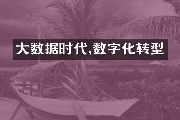 大数据时代,数字化转型