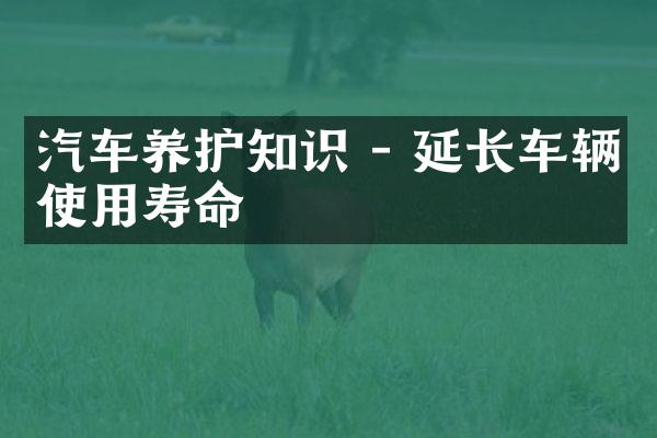 汽车养护知识 - 延长车辆使用寿命