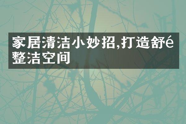 家居清洁小妙招,打造舒适整洁空间