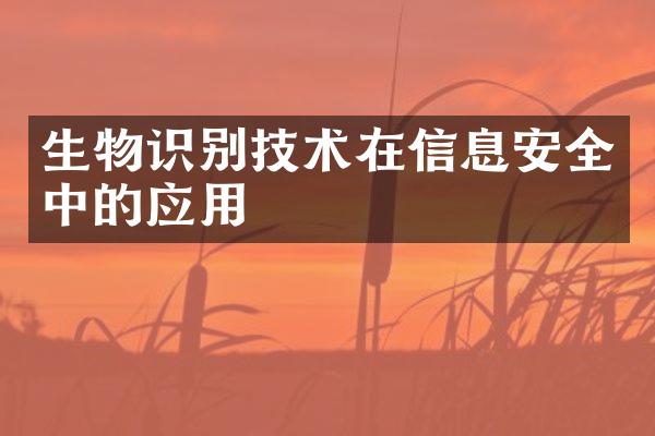 生物识别技术在信息安全中的应用