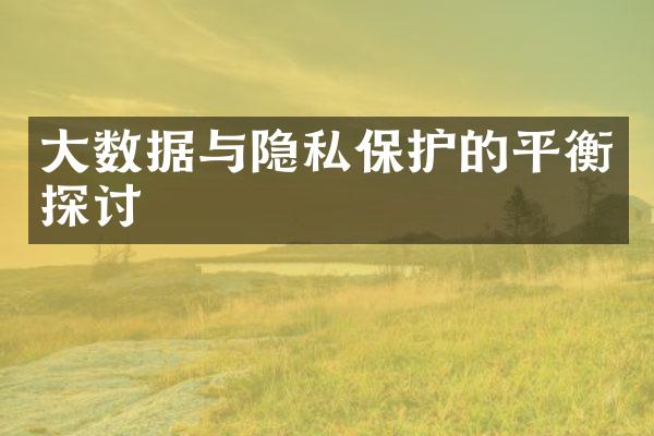 大数据与隐私保护的平衡探讨