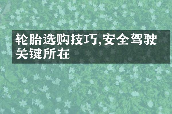 轮胎选购技巧,安全驾驶的关键所在