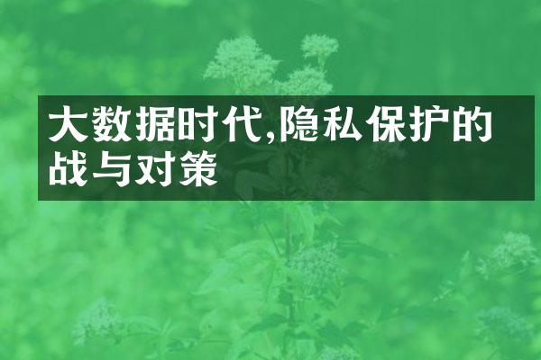 大数据时代,隐私保护的挑战与对策