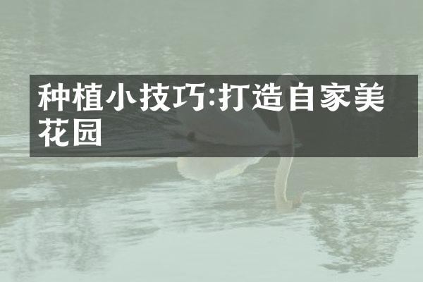 种植小技巧:打造自家美丽花园