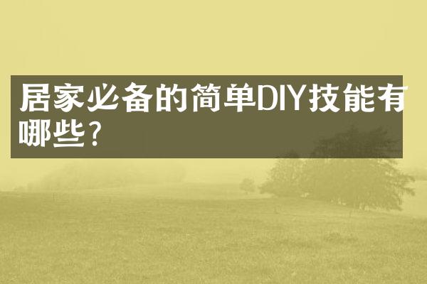 居家必备的简单DIY技能有哪些?