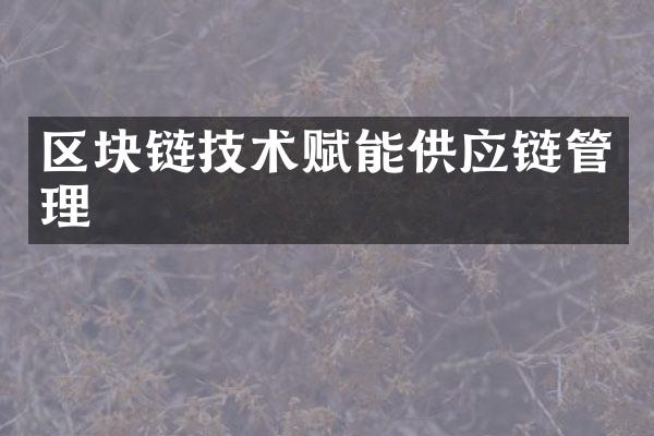 区块链技术赋能供应链管理