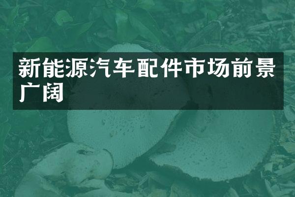 新能源汽车配件市场前景广阔