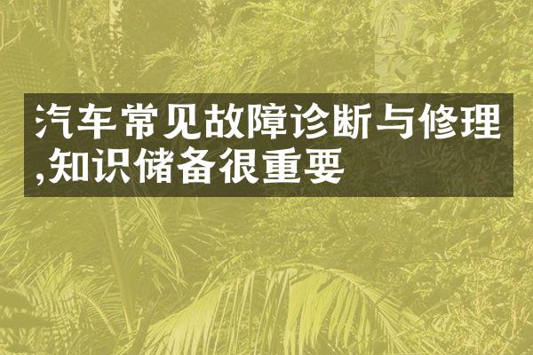 汽车常见故障诊断与修理,知识储备很重要