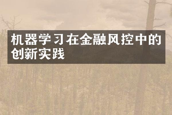 机器学习在金融风控中的创新实践