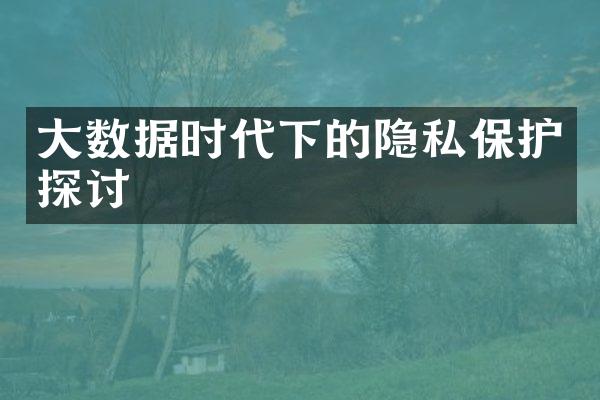 大数据时代下的隐私保护探讨