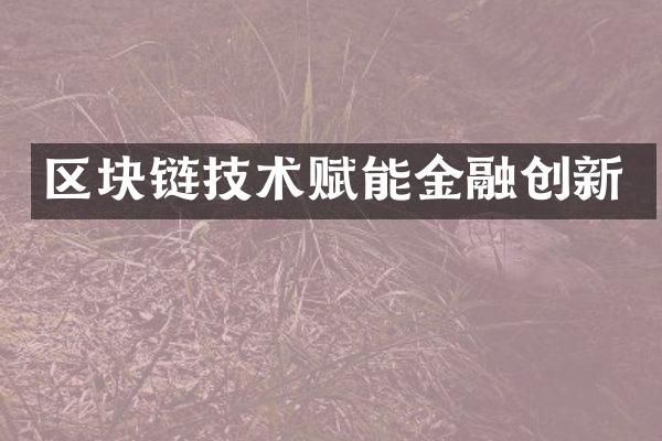 区块链技术赋能金融创新