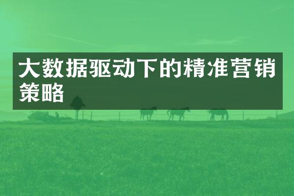 大数据驱动下的精准营销策略