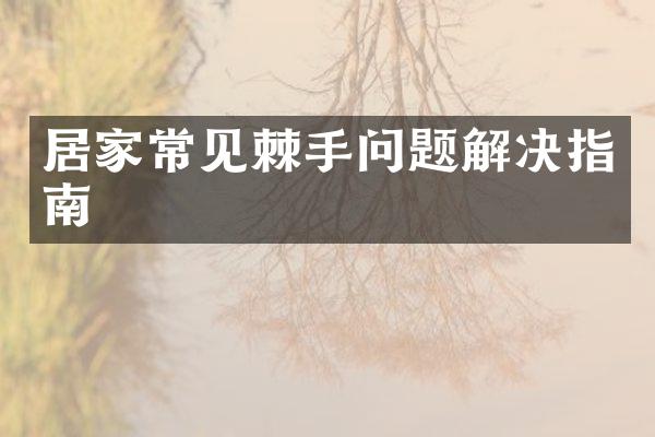居家常见棘手问题解决指南