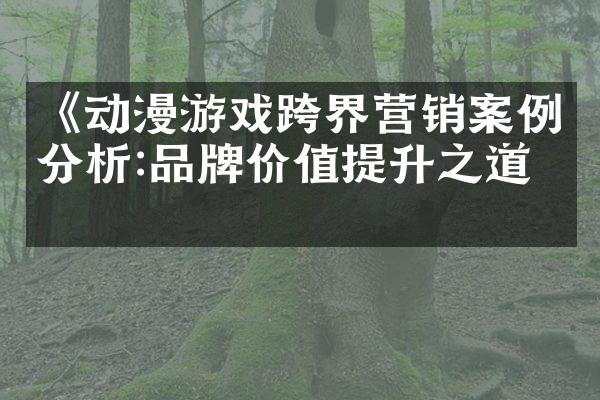 《动漫游戏跨界营销案例分析:品牌价值提升之道》