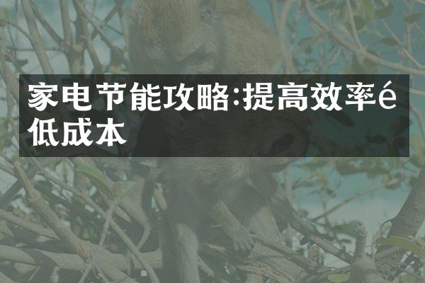 家电节能攻略:提高效率降低成本