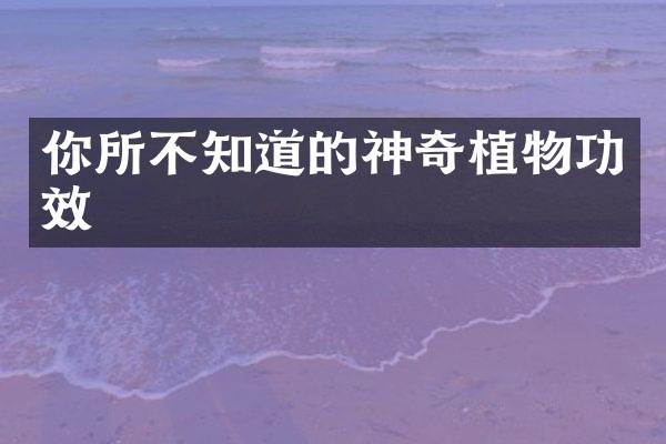 你所不知道的神奇植物功效