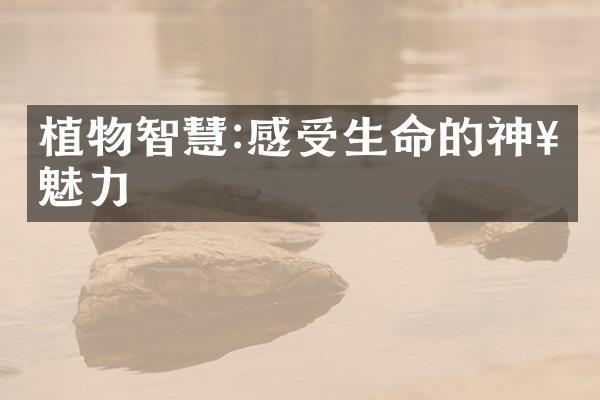 植物智慧:感受生命的神奇魅力