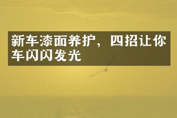 新车漆面养护，四招让你车闪闪发光