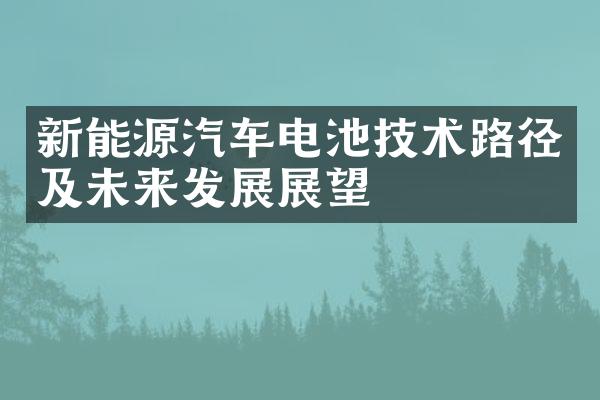 新能源汽车电池技术路径及未来发展展望
