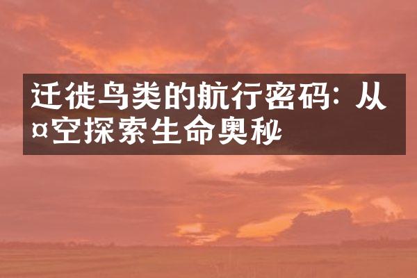 迁徙鸟类的航行密码: 从天空探索生命奥秘