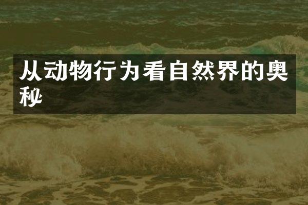 从动物行为看自然界的奥秘