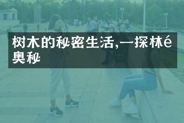 树木的秘密生活,一探林间奥秘