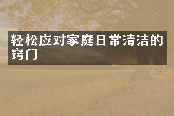 轻松应对家庭日常清洁的窍门