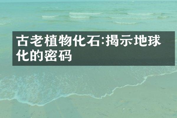 古老植物化石:揭示地球演化的密码