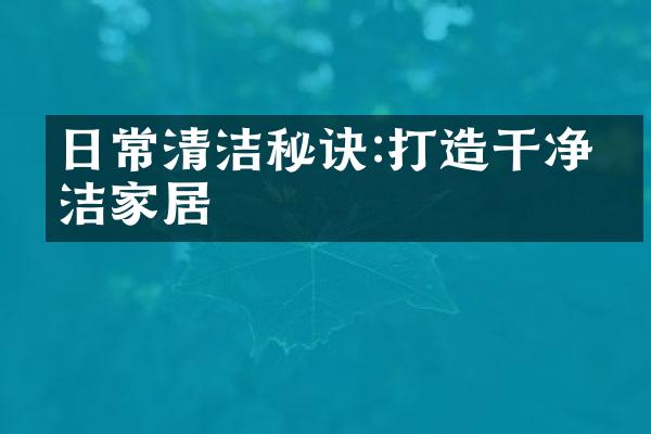 日常清洁秘诀:打造干净整洁家居