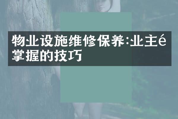物业设施维修保养:业主须掌握的技巧