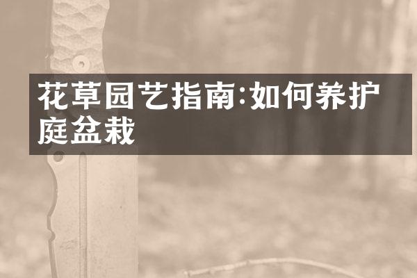 花草园艺指南:如何养护家庭盆栽