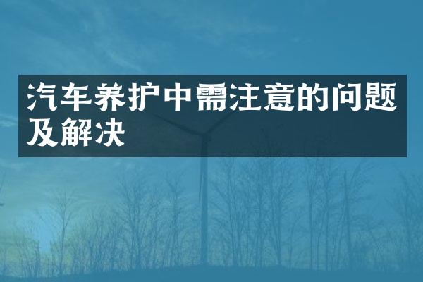汽车养护中需注意的问题及解决