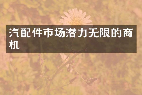 汽配件市场潜力无限的商机